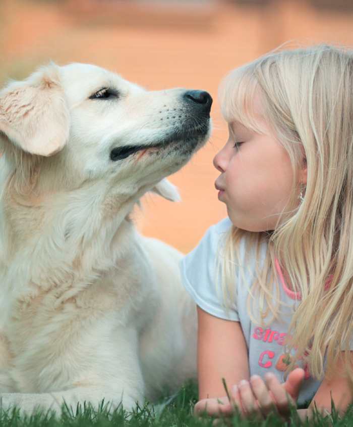 Hund mit kleines Mädchen (1)