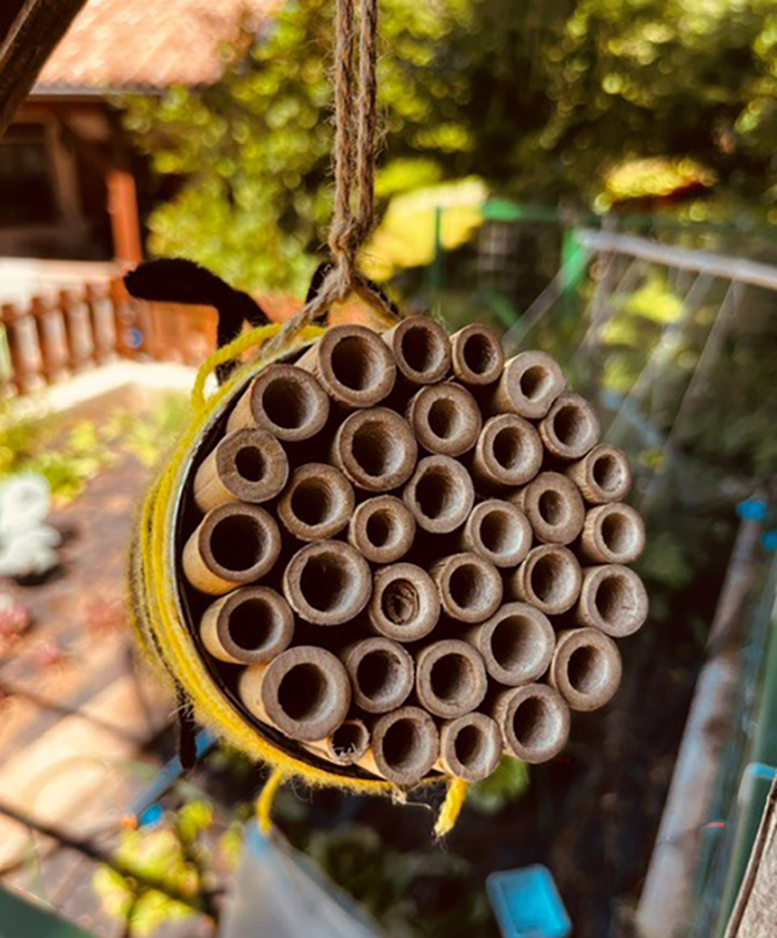 Insektenhotel2