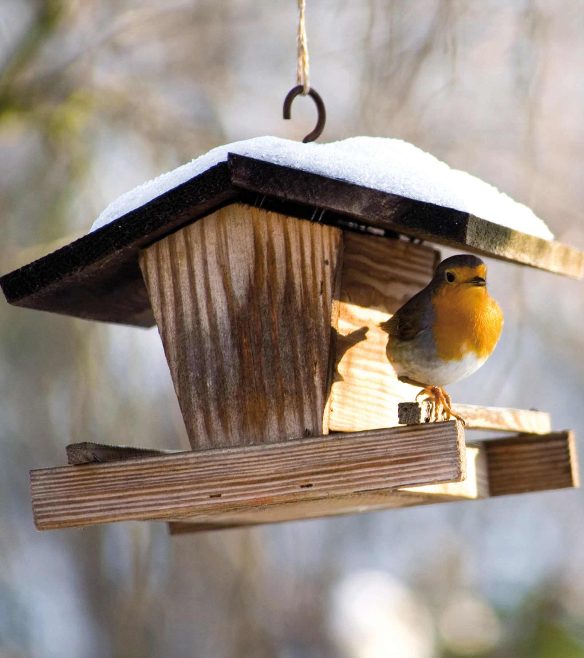 mangime invernale uccelli-wintervoegelfutterung-1900x2140