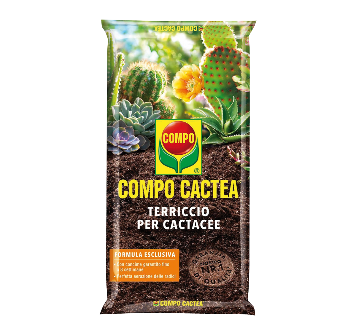 050300-terricio cactus