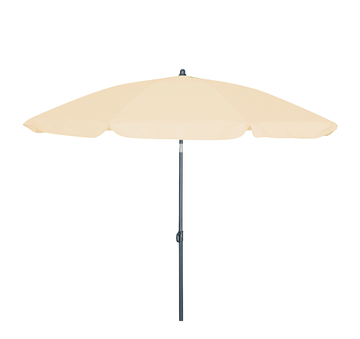 K524387-MIC