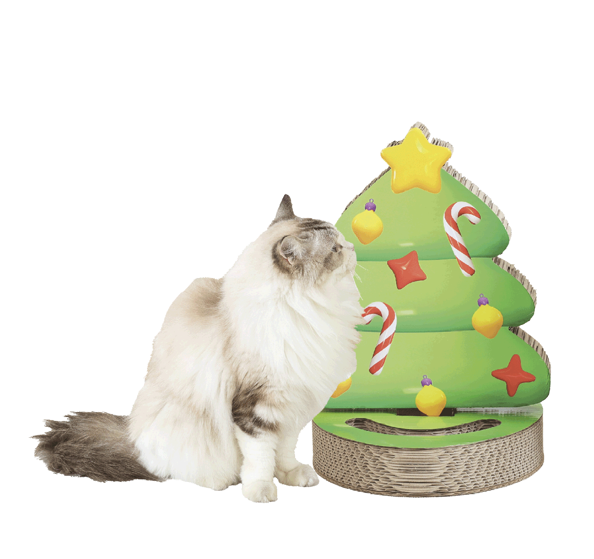 K330687- tiragraffi-kraztbaum