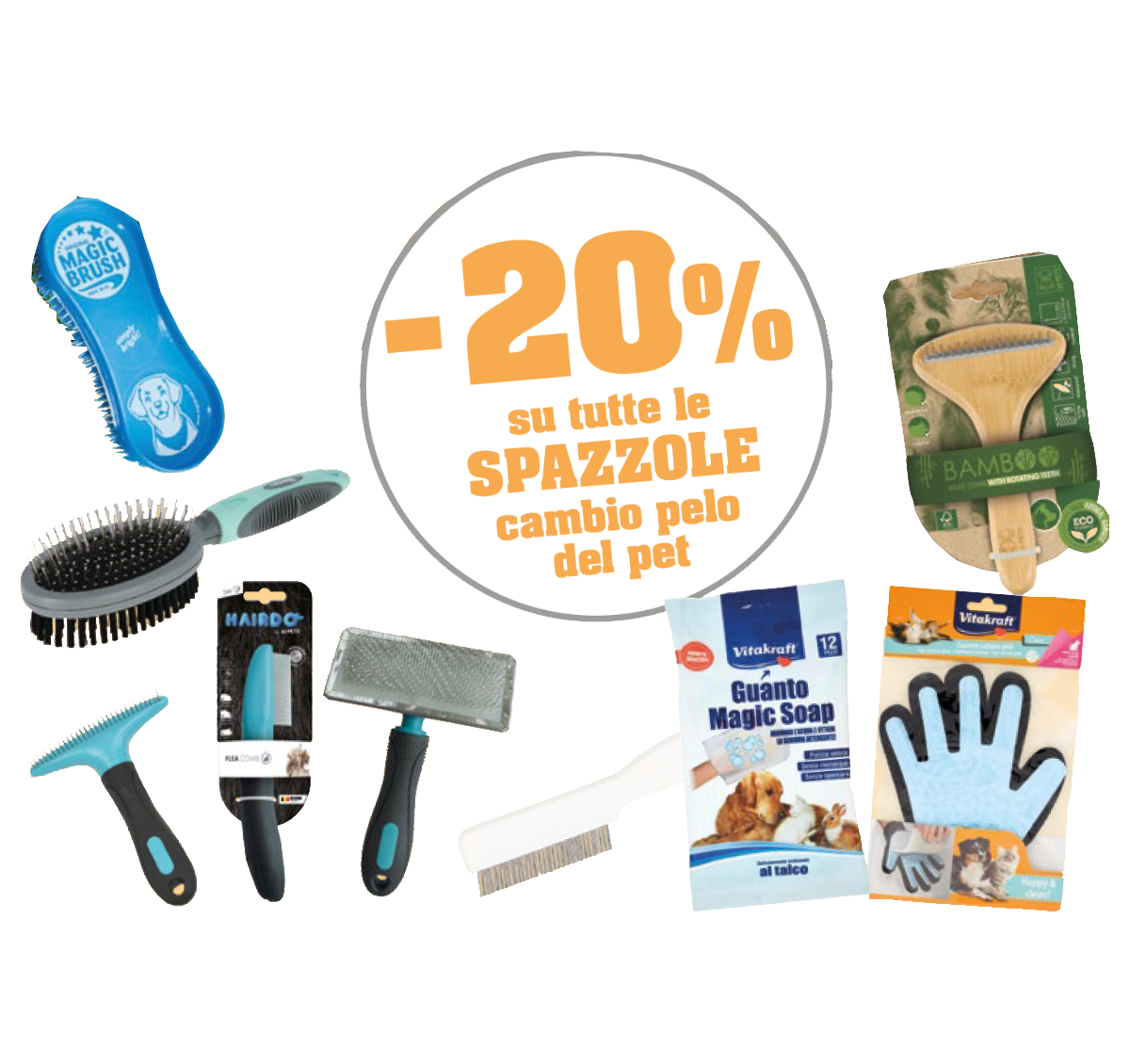 promo 20 spazzole-MIC