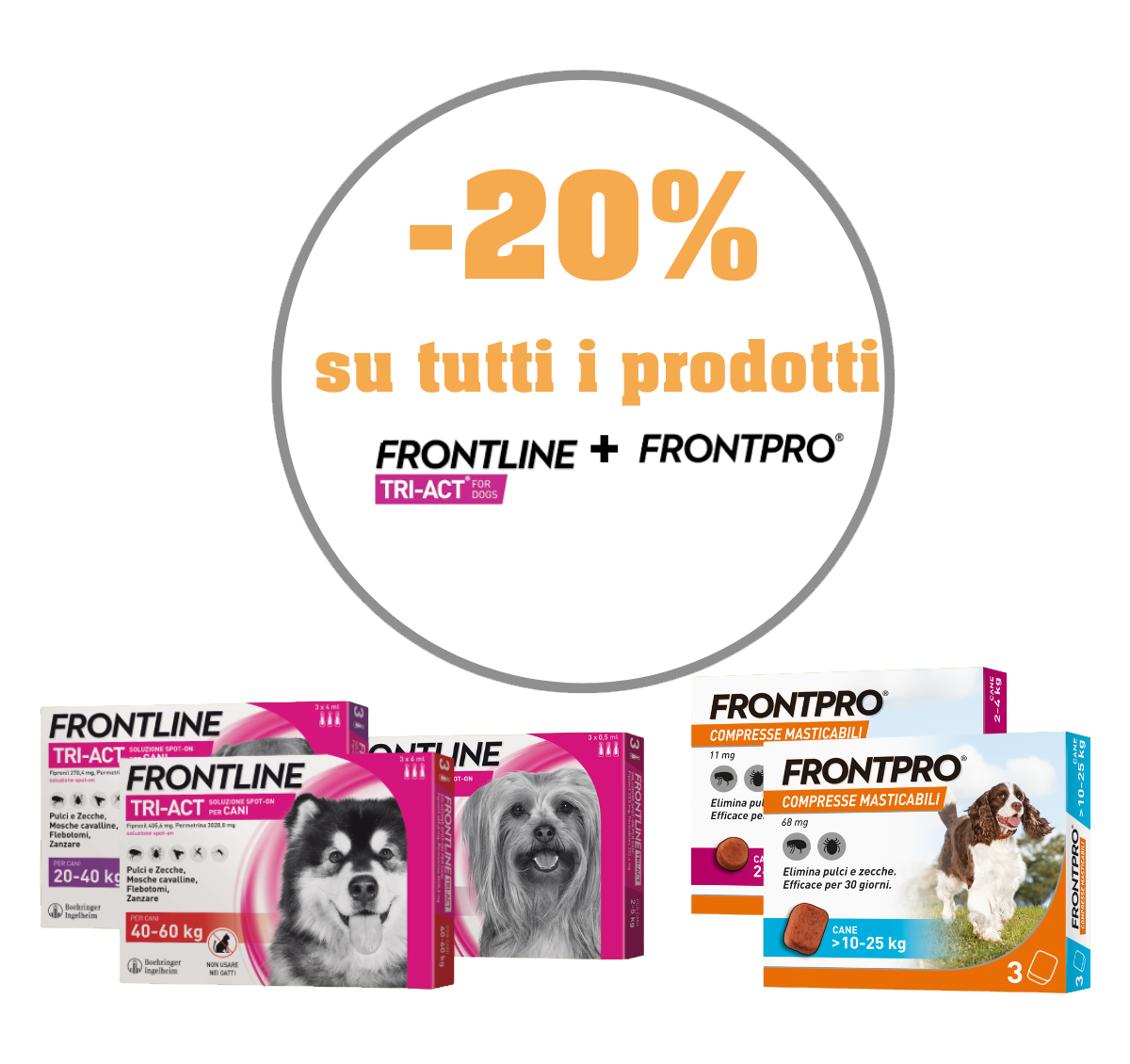 promo-20%frontline-MIC