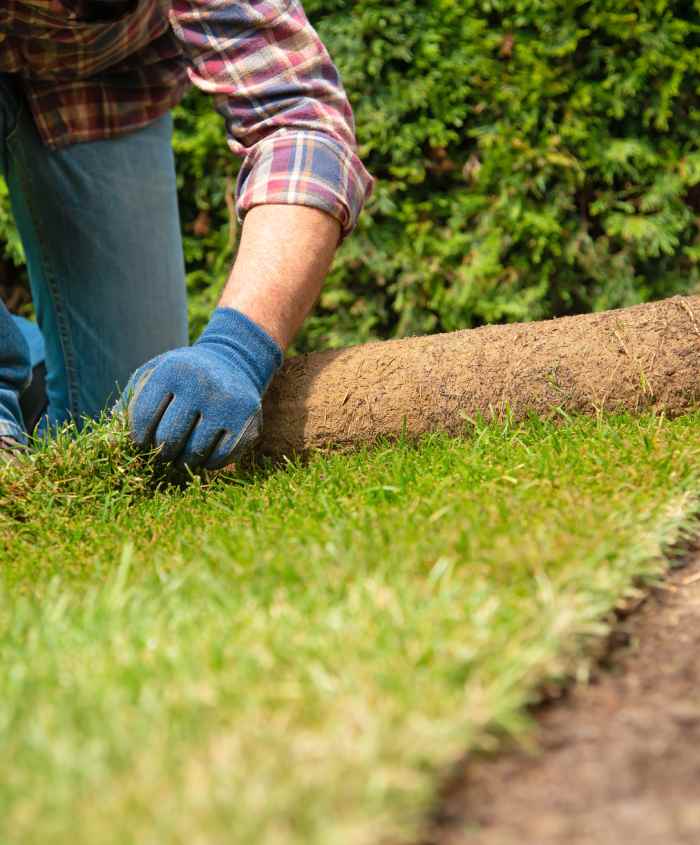 rollrasen-prato a rotoli