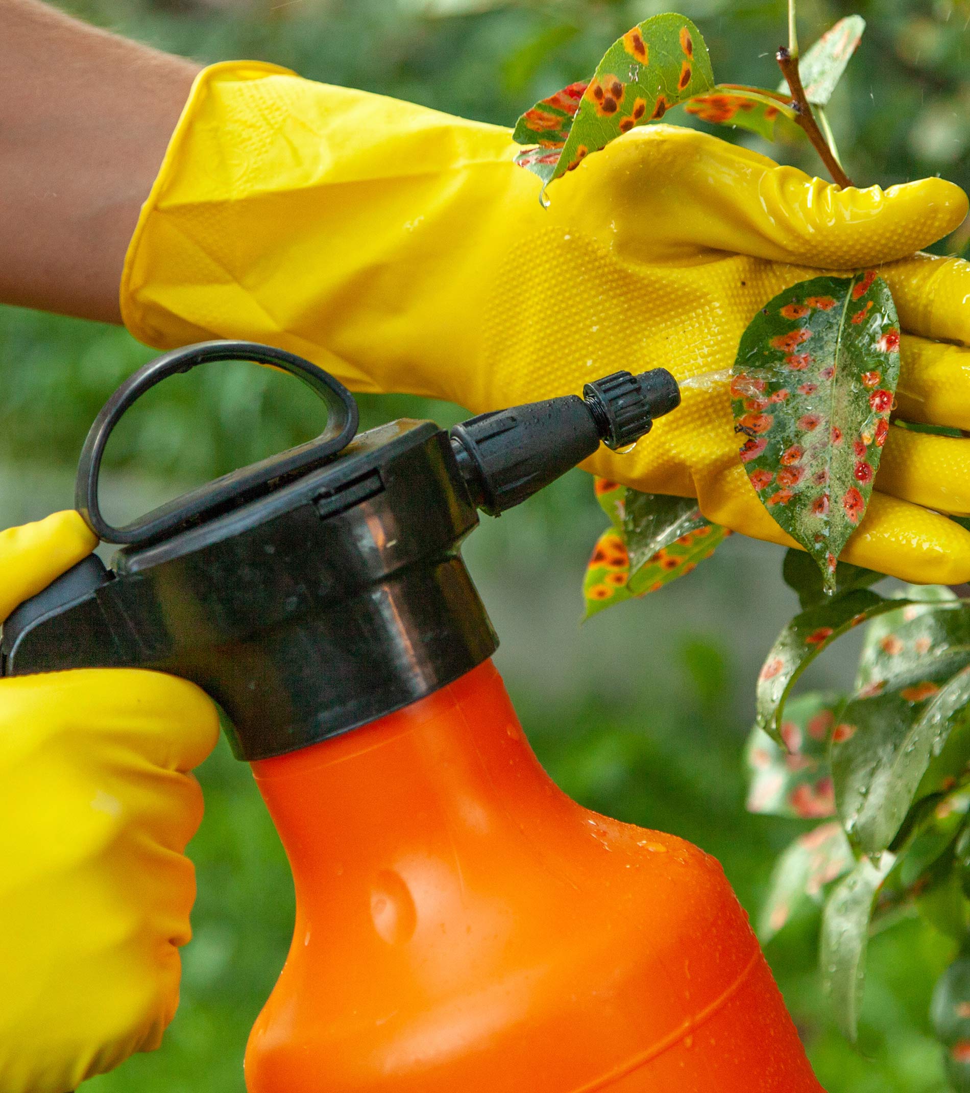 tuttogiardino-funghicidi