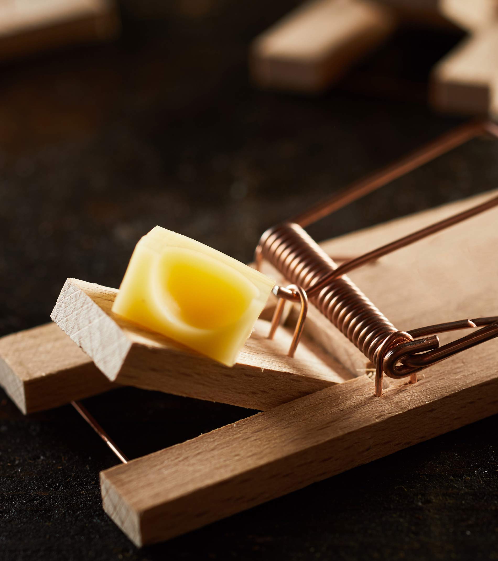 tuttogiardino-soluzioni-contro-roditori