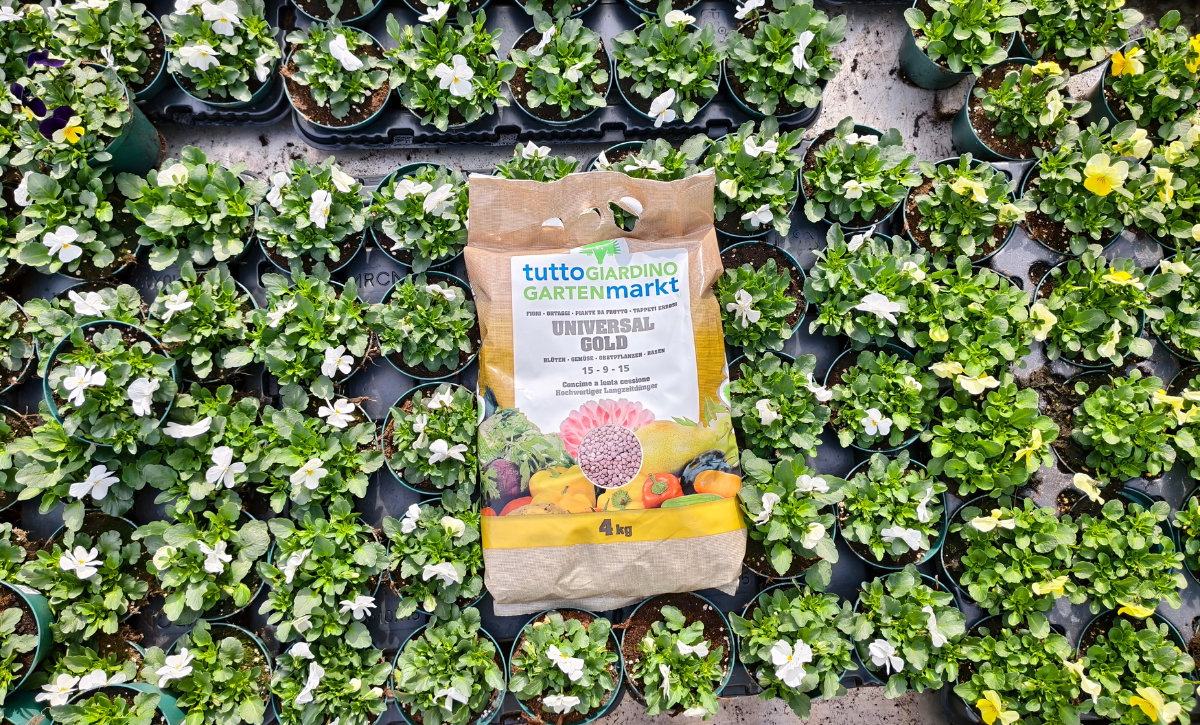 promozioni 1200x725 (1)